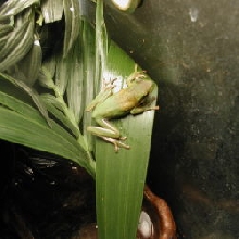jumpy