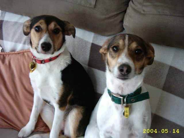 Jack and Jill