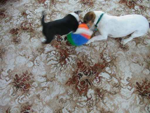 Tug of War