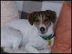 Handsome fellow