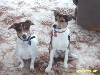 Jack and Jill