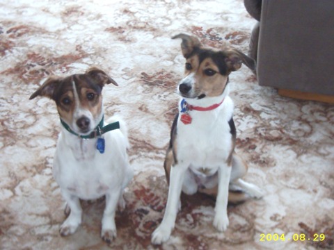 Jack and Jill