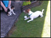Jack and Jill