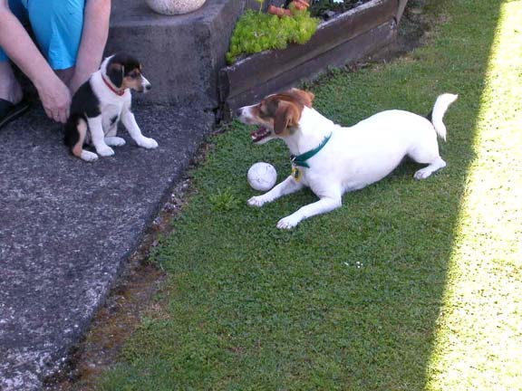 Jack and Jill