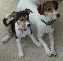 Jack and Jill
