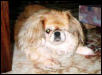 Samantha