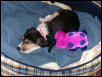 Jill sleeping