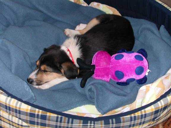 Jill sleeping