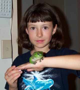 Brittany and a Green Tree Frog