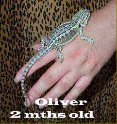 Oliver