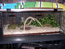 Kula's new cage setup May,4,2005