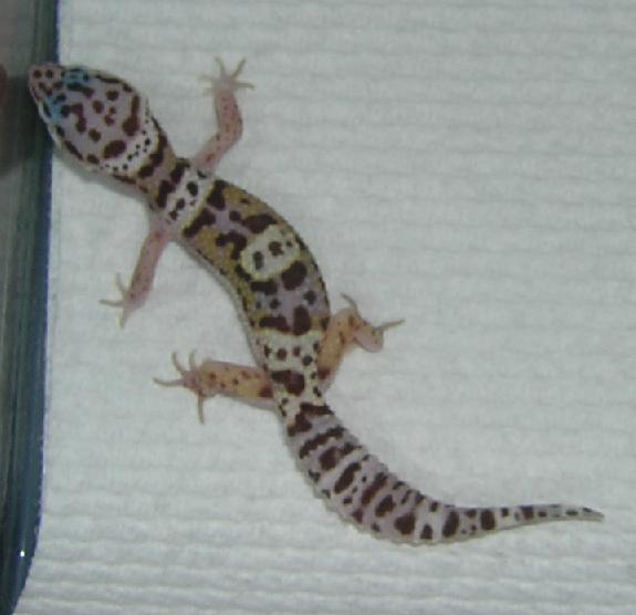Here is another pic of her