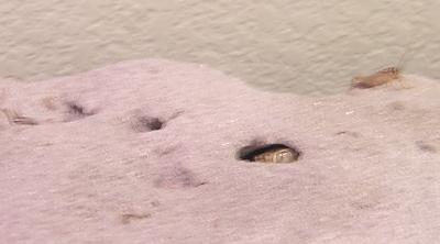 The Watching Eye...