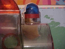 my old hamster
