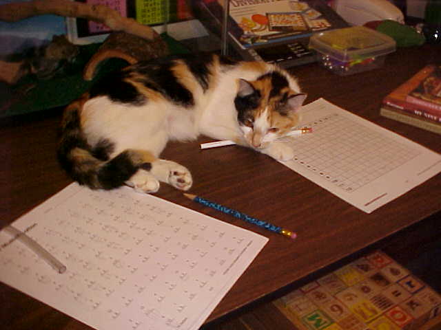 The not so wild pencil theif (LOL)