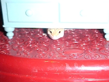 Peek-A-Boo!