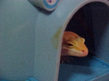 Sleeping Beauty....HEHE