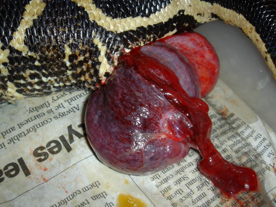 Ruby preg problem