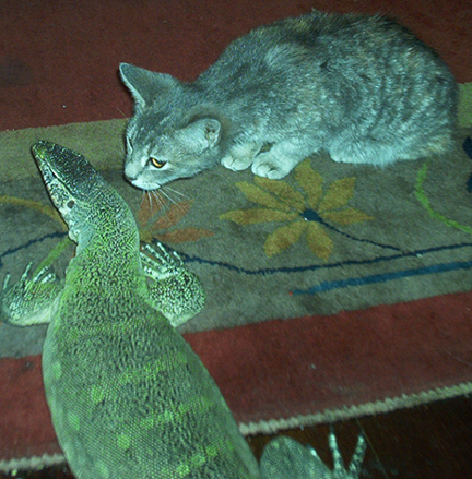 Angus and his kitty Tweak