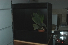 Celtec Cage