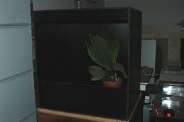 Celtec Cage