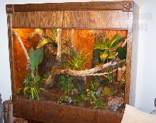 oak cage complete