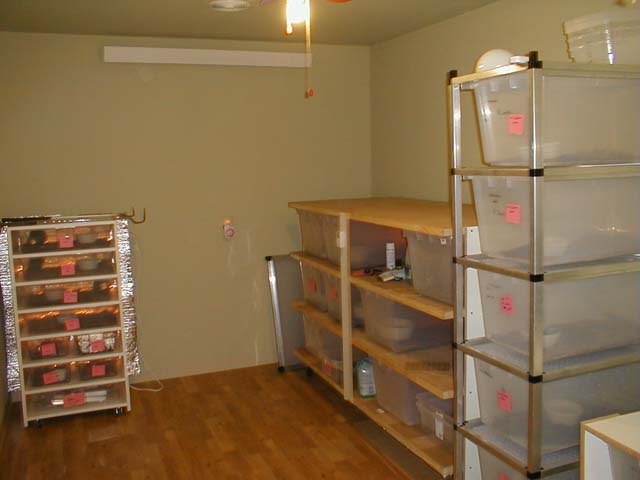 Snake Room 1