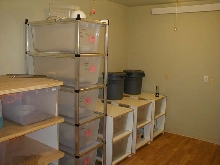 Snake Room 2