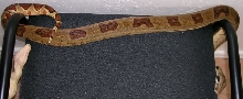 Female Hypo