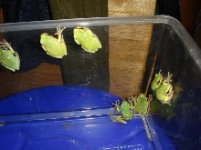 can someone identify it ?