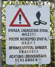 Beware King
