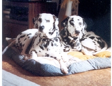 Two spots in the sun