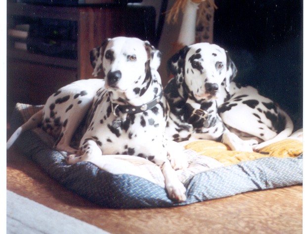 Two spots in the sun