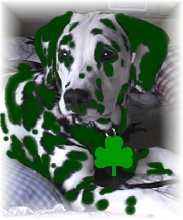 "Irish Jiggs"