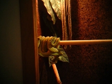 mating tree pythons