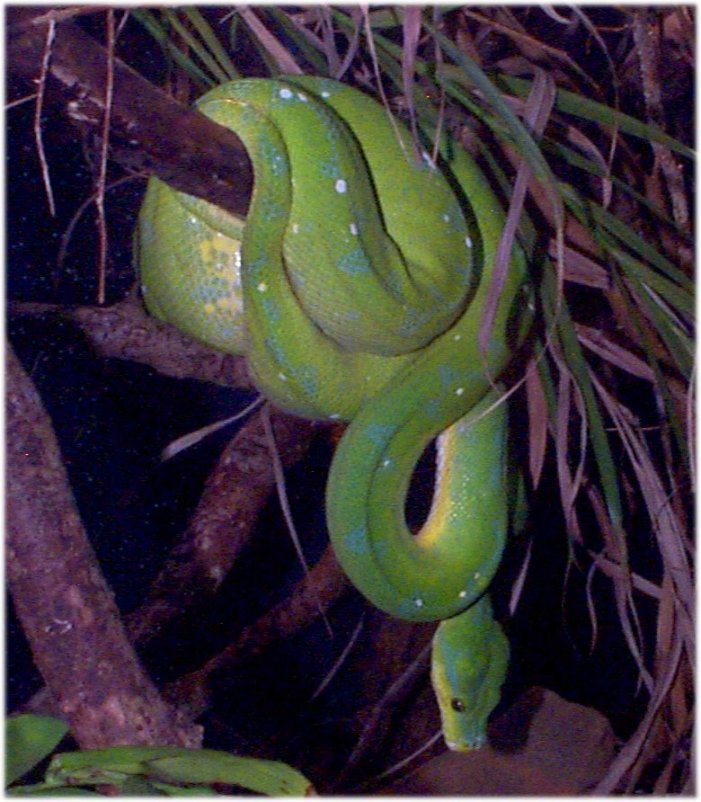 python test