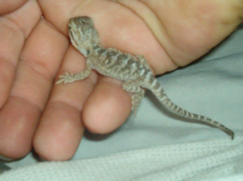 First Baby