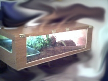 large cage