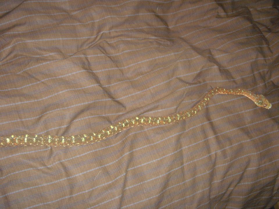 black tree python