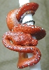 js0602  holdback