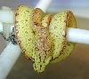 js0610  holdback