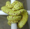 js0614  holdback