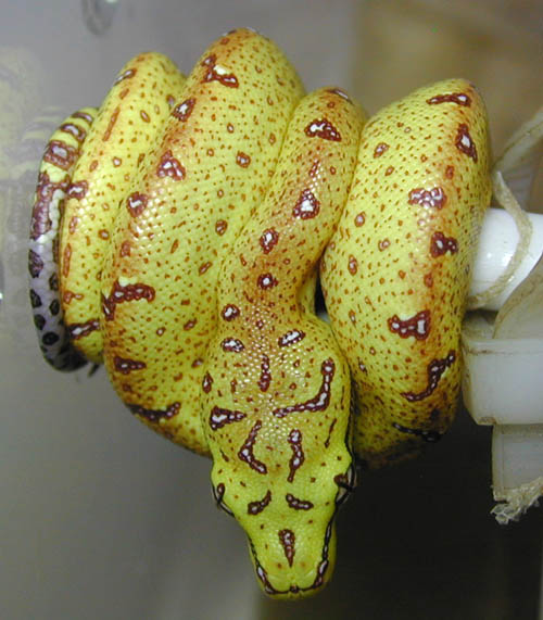 js0615  holdback