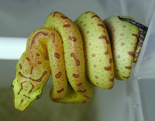 js0616  holdback