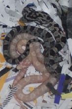 blood red het siblings