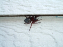 What is this?