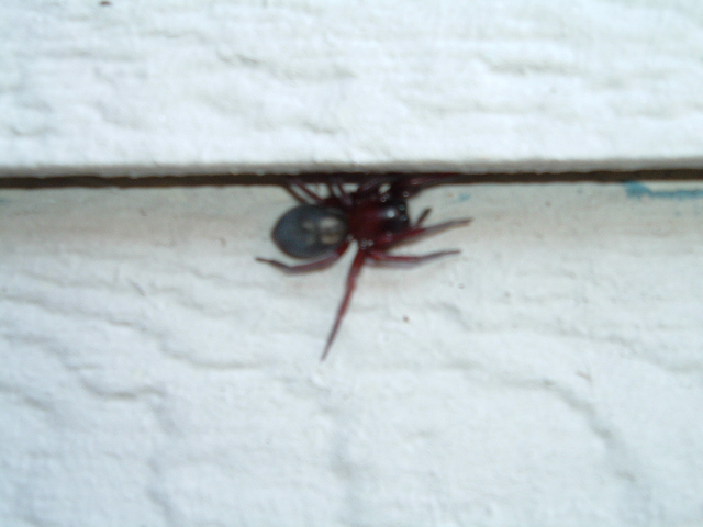 What is this?