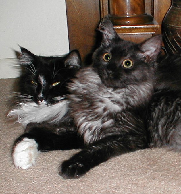 Morgan & Dexter