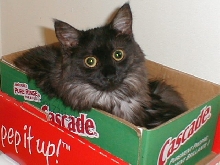 box1