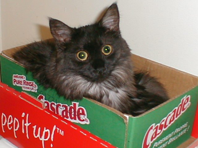 box1